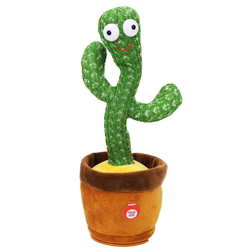 Dancing Cactus